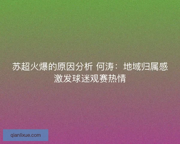 苏超火爆的原因分析 何涛：地域归属感激发球迷观赛热情
