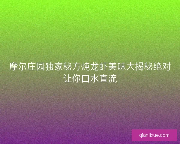 摩尔庄园独家秘方炖龙虾美味大揭秘绝对让你口水直流