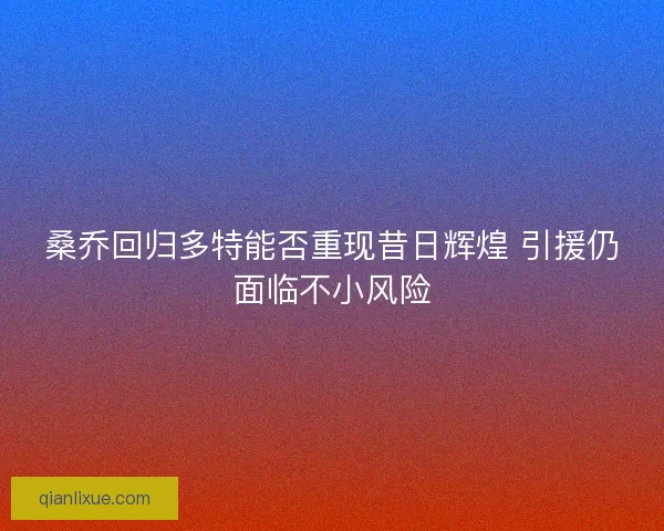 桑乔回归多特能否重现昔日辉煌 引援仍面临不小风险